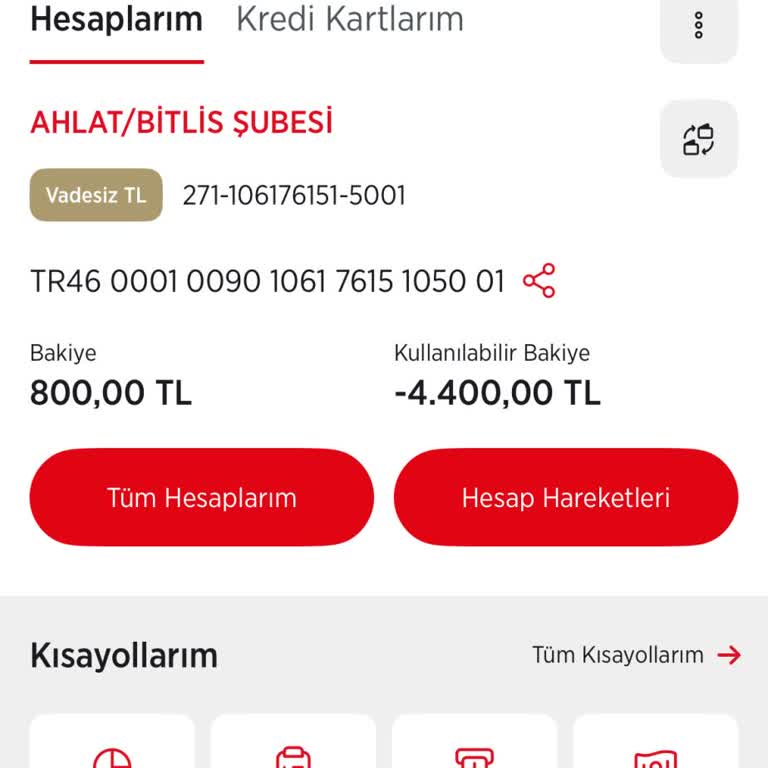 Kredi Kartı Borcundan Hesabım Bloke Oldu Asgari Tutarı Ödeyemiyorum
