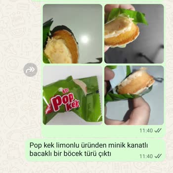 Eti Popkek Muzlu Pakette Sinek Tespit Edildi, Hijyen Ve Geri Dönüş Yok