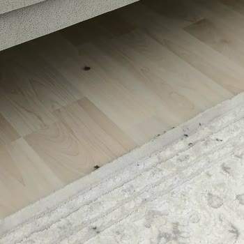 Arçelik RS9221 Robot Süpürge Motor Değişimi Sonrası Kir Dağıtma Ve İade Talebi