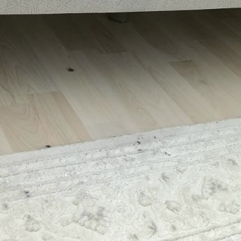 Arçelik RS9221 Robot Süpürge Motor Değişimi Sonrası Kir Dağıtma Ve İade Talebi