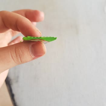 Gross Markette Boş Ekşi Yüz Paketi Satın Aldım