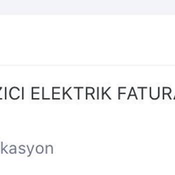 Provizyonda Bekleyen Ödeme Nedeniyle Elektrik Kesildi, Müşteri Hizmetleri Çözüm Sunmadı