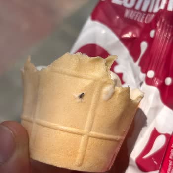 Migros Jet Algida Dondurmasında Böcek Bulunması Sağlık Riski
