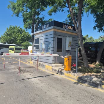 Gizli Demir Parçaları Nedeniyle Yaşlı Yaya Düşmesi Ve İlgisiz Müdahale