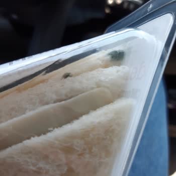 Shell Deli2GO Mozerella Jambon Ürünün Küflenmesi Gıda Güvenliğini Tehdit Ediyor