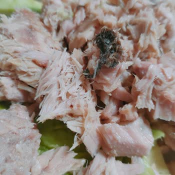 İzmir Migros’ta Satın Alınan Pınar Ton Balığında Şüpheli Siyah Madde