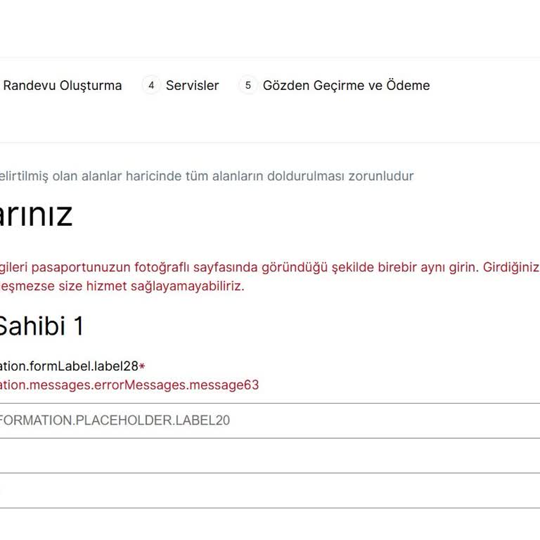 VFS Global Online Sisteminde Teknik Hata Nedeniyle Vize Başvurusu Tamamlanamıyor