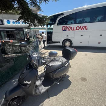 Lüks Yalova Seyahat Şikayeti