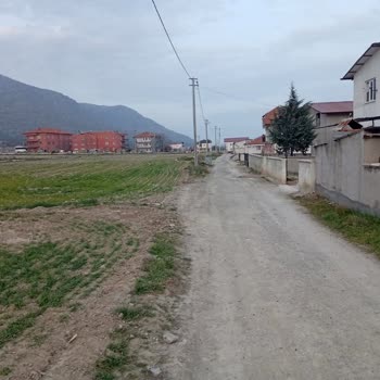 Altyapı Eksikliği, Sürekli İnternet Kesintileri Ve Tehlikeli Kablolar İçin Acil Müdahale Talebi