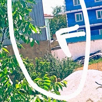 Altyapı Eksikliği, Sürekli İnternet Kesintileri Ve Tehlikeli Kablolar İçin Acil Müdahale Talebi
