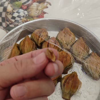 Liva Pastanesi | Livashop.com Baklavanın İçinden Kabuklu Fıstık Parçası Çıktı