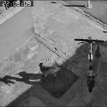 Kapımın Önündeki Scooter’lar Engelliyor Ve Yardım Çağrım Cevapsız