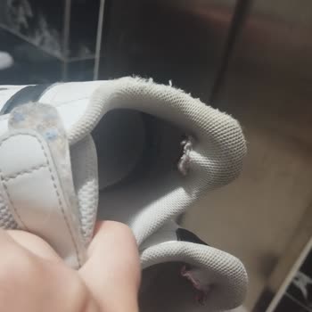 İn Street Mağazasında Adidas Çocuk Ayakkabısının Yırtılması Ve Garanti Reddi
