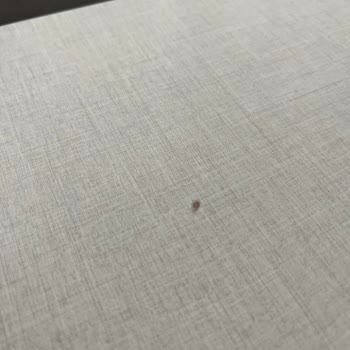 Bellona Aksu’da 136.500 TL’lik Koltuk Takımı Sorunu Ve Cevapsız Servis
