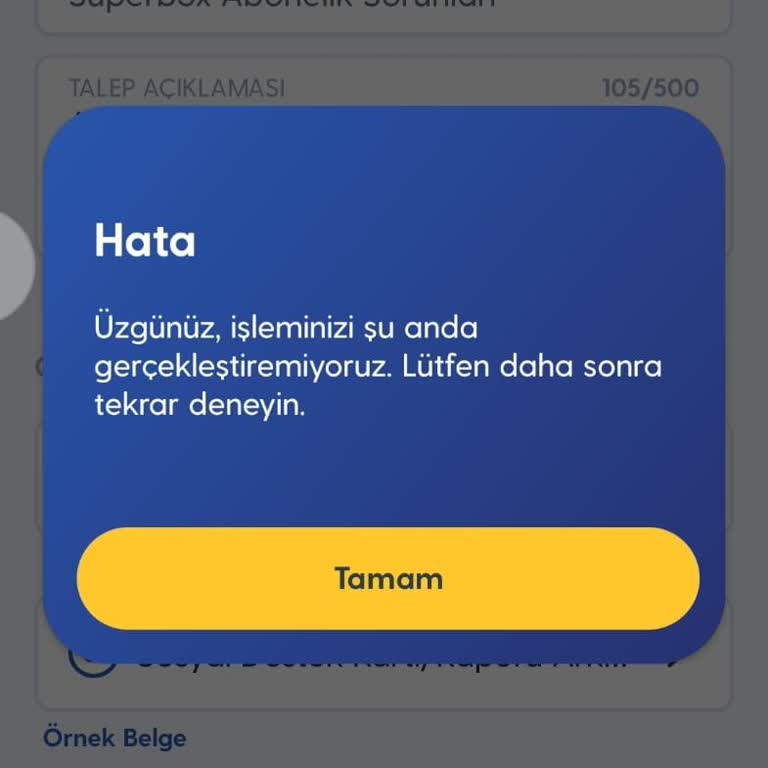 Kızımın Engelli İndirimi Başvurusu Uygulama Hatası Ve Resmi Eposta Talebi