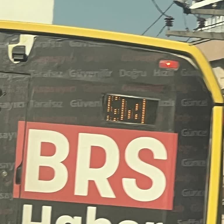 Kediyi Ezerek Duyarsızlık Gösteren Belediye Otobüsü Şoförüne Derhal İdari İnceleme Talebi