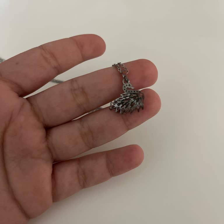 Kuğu Kolyemde Hızlı Kararma, Çelik Olmasına Rağmen Kısa Sürede Renk Değişimi