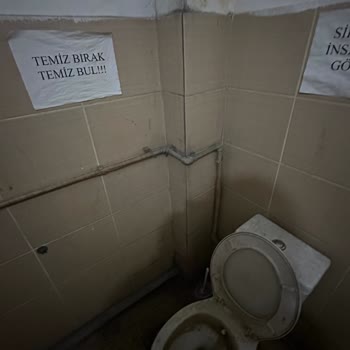 Şubenin Üst Kat Tuvaletinde Hijyen Sorunu Ve Sağlık Riski