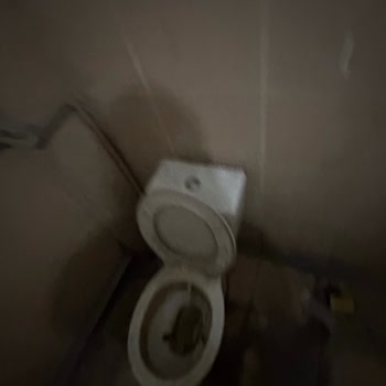 Şubenin Üst Kat Tuvaletinde Hijyen Sorunu Ve Sağlık Riski