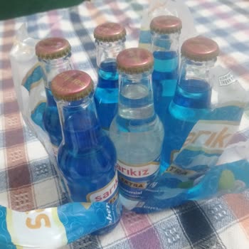 Denizli'de Sarıkız Yaban Mersinli Soda Paketi Tek Şişe Renksiz
