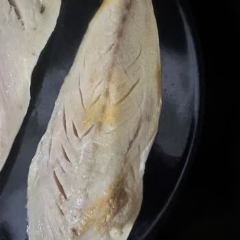 Yemeksepeti Market'te Bozuk Uskumru Fileto, İade Talebi Ve Müşteri Hizmetlerine Ulaşılamama