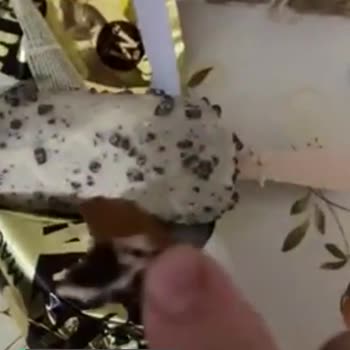 Magnum'da Skandal Görüntüler