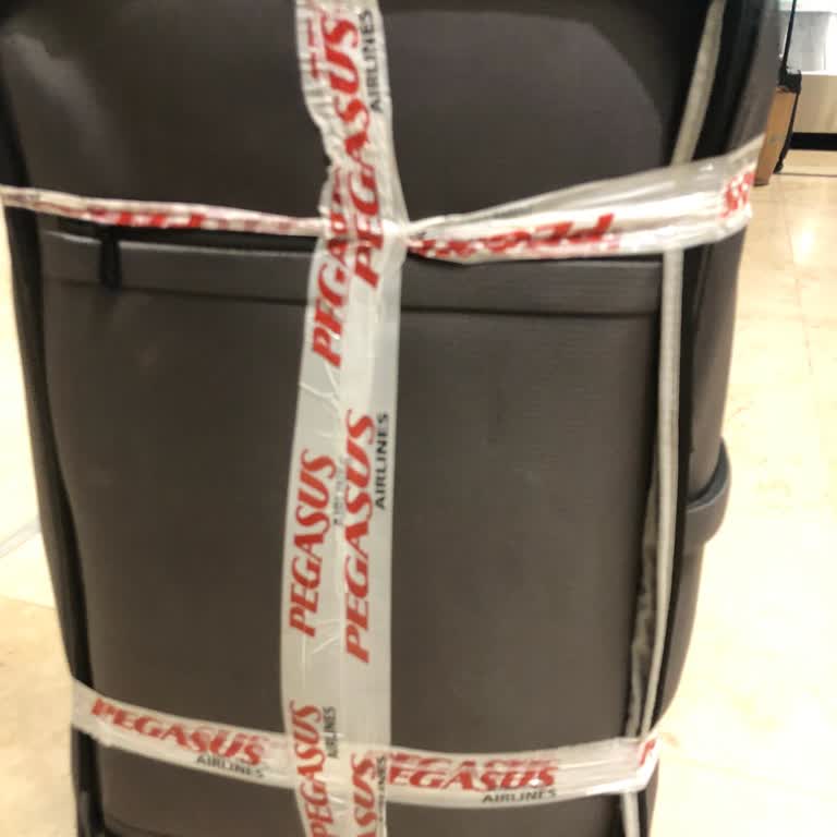 Pegasus Luggage Damage