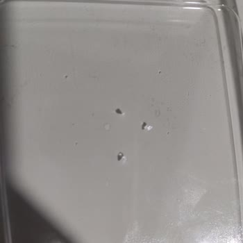 BİM Dondurmasında Cam Parçası Ağızda Şok Ve Hayati Tehlike