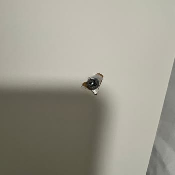 IKEA Montajcısının Kaba Tutumu Ve Gardırop Kurulumunda Oluşan Hasarlar