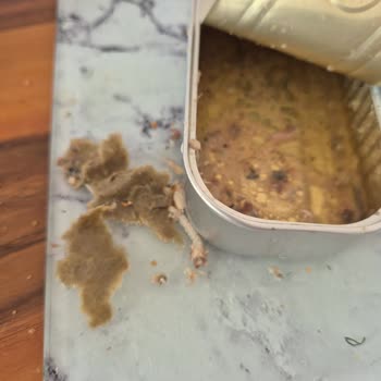 Dardanel Sardalya Konserve İçinde Kağıt Parçası Gıda Güvenliği Sorunu