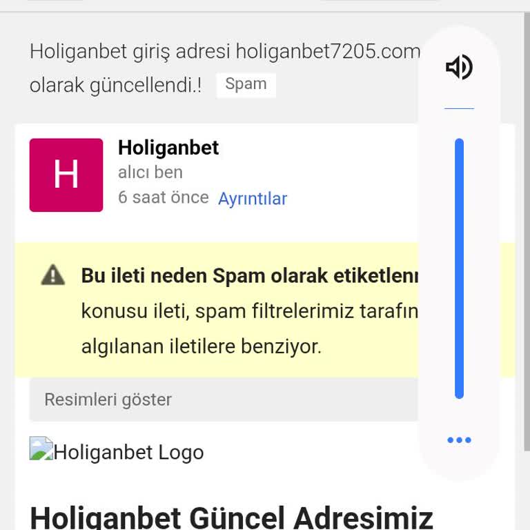 Holiganbet Hesabımın Kapatılması Ve E-Posta Bilgilerimin Silinmesi