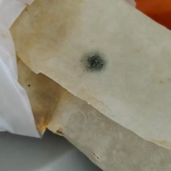 Küflü Lavaş Teslimatı Ve Migros Yemek’ten İade Reddi
