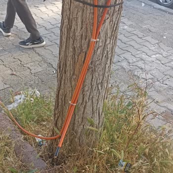 Fiber İnternet Kesintisi Ve Uzun Süreli Çözüm Eksikliği