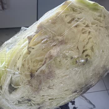 Arçelik Buzdolabı Arızası Üç Yıldır Çözülmedi, Müşteri Sağlığı Ve Tazminat Talebi