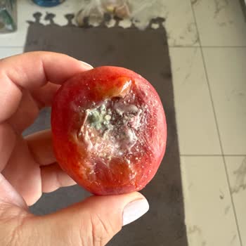 Arçelik Buzdolabı Arızası Üç Yıldır Çözülmedi, Müşteri Sağlığı Ve Tazminat Talebi