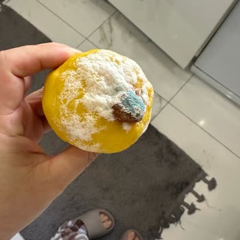 Arçelik Buzdolabı Arızası Üç Yıldır Çözülmedi, Müşteri Sağlığı Ve Tazminat Talebi