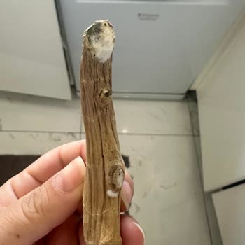 Arçelik Buzdolabı Arızası Üç Yıldır Çözülmedi, Müşteri Sağlığı Ve Tazminat Talebi