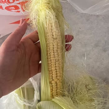 Yenikent Migros Şubesinde Çürük Ürünler Nedeniyle İade Talebi
