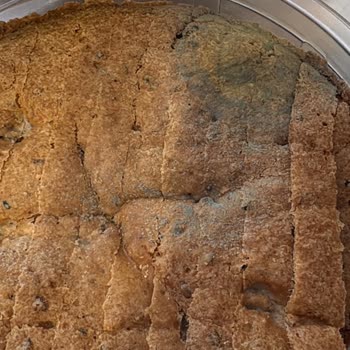 Migros’ta Küflü Ekmek Satışı Ve İade Talebi