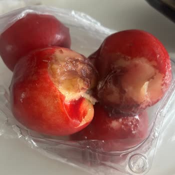 Bozuk Kıyma Ve Nektarin İçin İade Reddi