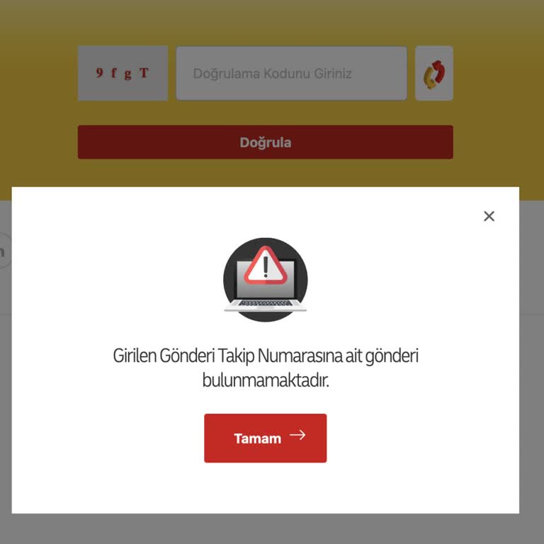 Kargo Takip Numarası Çalışmıyor Ve Siparişim Gözardı Ediliyor
