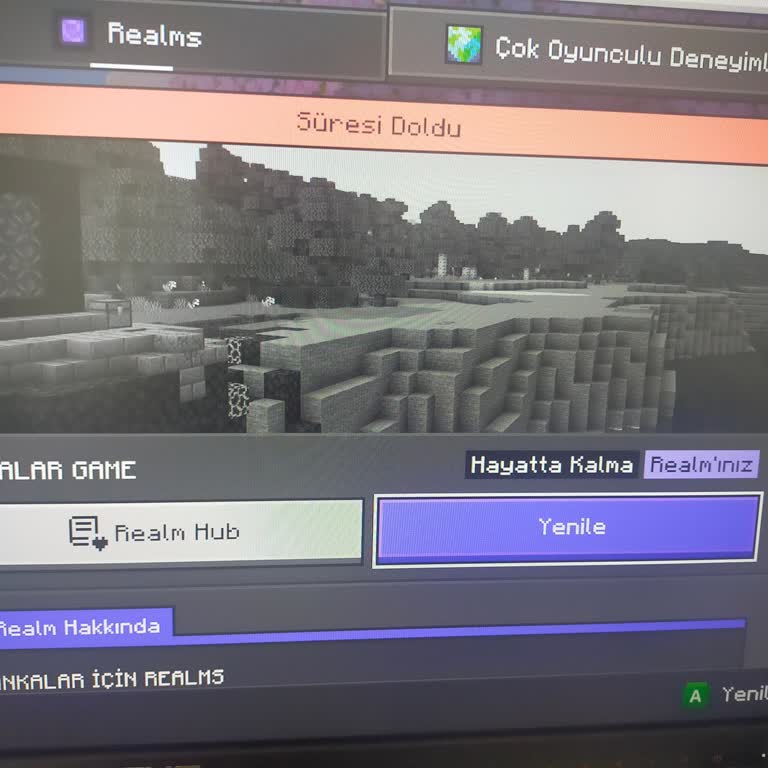 Realms Satın Alındı Fakat Aktif Olmadı, İade Talebi
