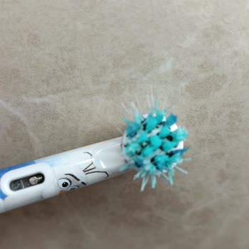 Oral‑B Pro Timer Diş Fırçasında Küf Sorunu Ve Değişim Talebi