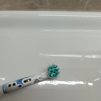 Oral‑B Pro Timer Diş Fırçasında Küf Sorunu Ve Değişim Talebi