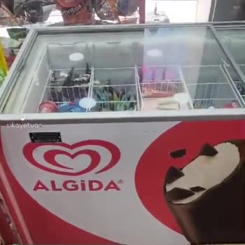 Algida İlgisizliği!