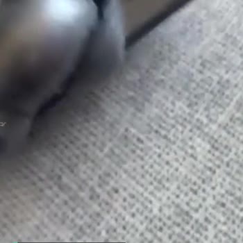 Dyson Süpürgenin Başlığı Ve Toz Hazne Kapağı Kırıldı