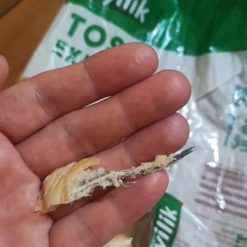 Migros Express Tost Ekmeğinde Kuş Tüyü Bulunması Hijyen Şikayeti