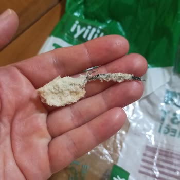 Migros Express Tost Ekmeğinde Kuş Tüyü Bulunması Hijyen Şikayeti