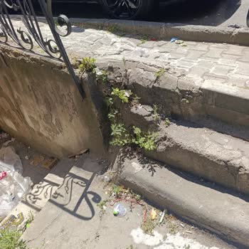 Kağıthane Uğur Sokakta Yol Temizliği Yetersizliği: Kirli Sokak Ve Çevre Sağlığı Tehlikesi