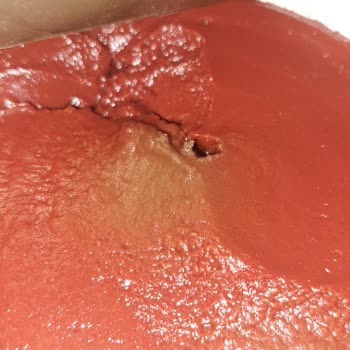 Bozulmuş Konserve Domates Salçası İçinde Kıl, Tamek Müşteri Hizmetleri Cevapsız